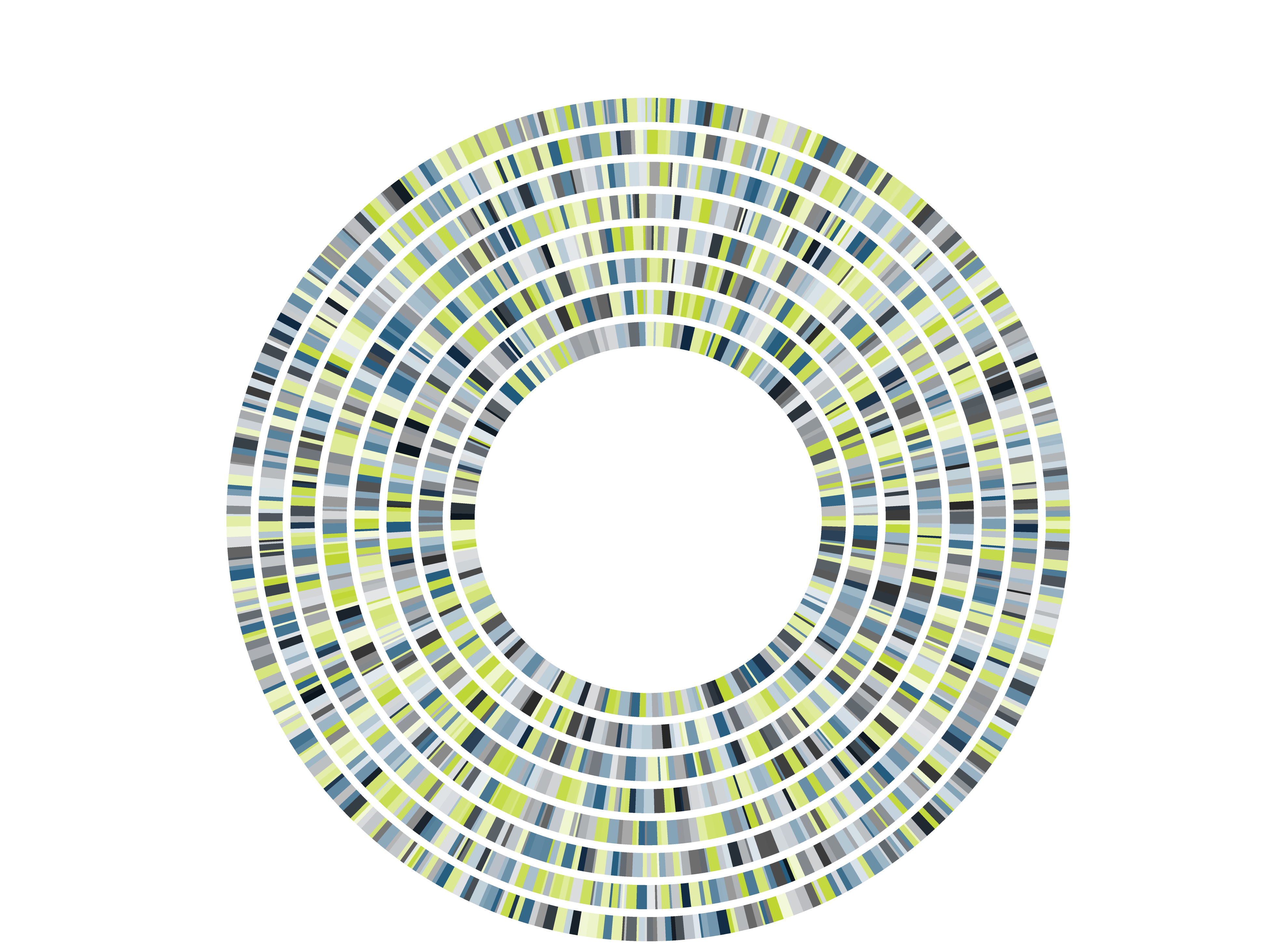 Concentric circular bands of multicolored rectangular segments forming a dense ring pattern